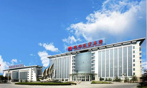 10亿美元 全球铝王押注极石汽车