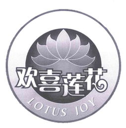 南京朝中食品有限责任公司与宏通集团的品牌战略解析